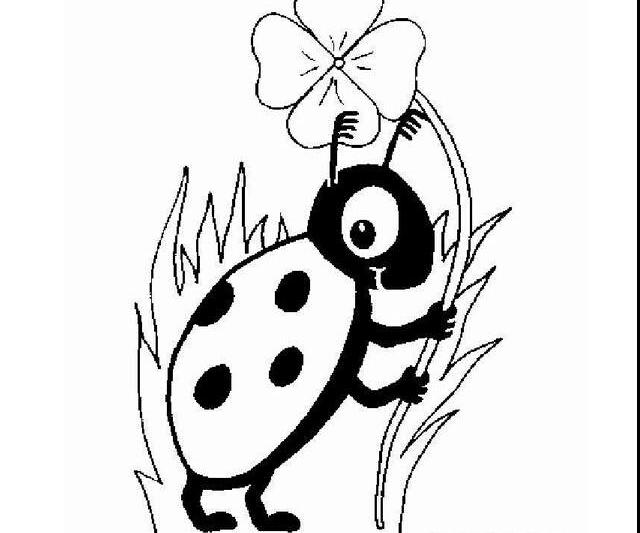 七星瓢蟲簡(jiǎn)筆