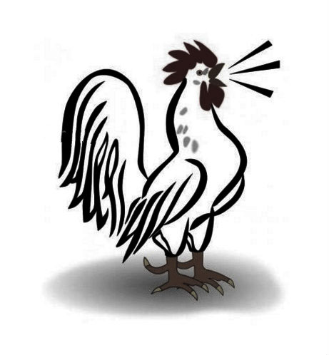 公雞簡筆畫，公雞打鳴