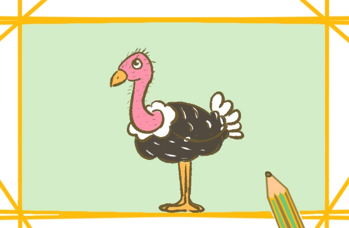 簡(jiǎn)單的鴕鳥<a href=http://www.inspiredelm.com/jianbihua/ target=_blank class=infotextkey>簡(jiǎn)筆畫</a>圖片怎么畫