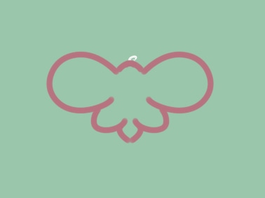 奇特的蝴蝶<a href=http://www.inspiredelm.com/jianbihua/ target=_blank class=infotextkey>簡筆畫</a>圖片怎么畫