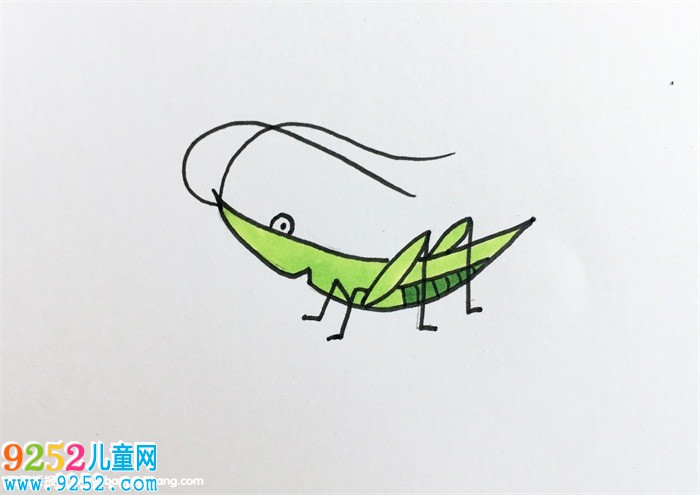紡織娘怎么畫