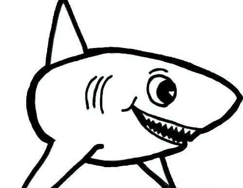2種鯊魚簡筆畫畫法及圖片