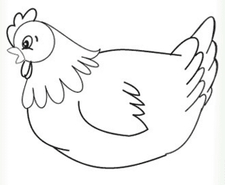 母雞動物簡筆畫