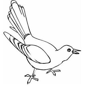 布谷鳥(niǎo)的簡(jiǎn)筆畫(huà)