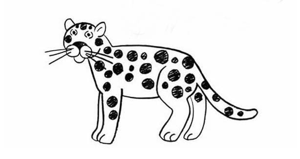 獵豹簡(jiǎn)筆畫畫法