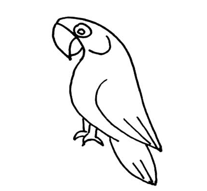 小鸚鵡兒童<a href=http://www.inspiredelm.com/jianbihua/ target=_blank class=infotextkey>簡筆畫</a>