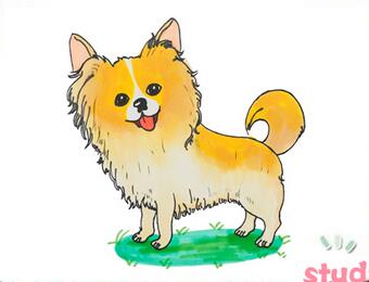 蝴蝶犬簡(jiǎn)筆畫(huà)
