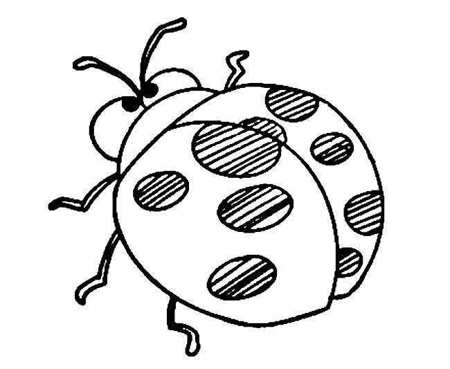 七星瓢蟲<a href=http://www.inspiredelm.com/jianbihua/ target=_blank class=infotextkey>簡筆畫</a>圖片_瓢蟲兒童繪畫作品圖集