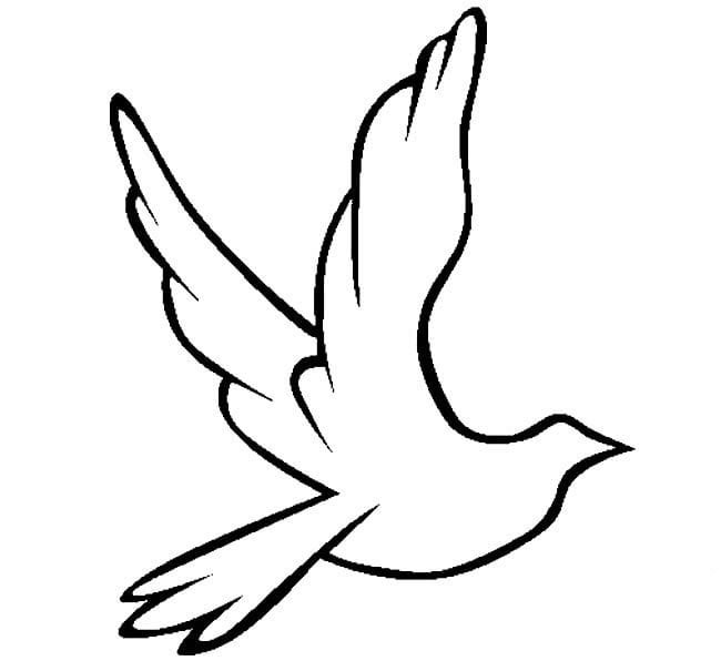 飛行鴿子兒童<a href=http://www.inspiredelm.com/jianbihua/ target=_blank class=infotextkey>簡筆畫</a>圖片_鴿子兒童繪畫作品圖集