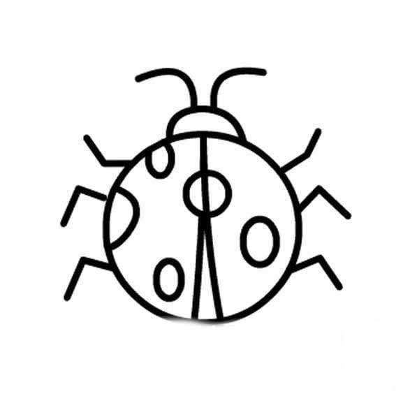 七星瓢蟲<a href=http://www.inspiredelm.com/jianbihua/ target=_blank class=infotextkey>簡筆畫</a>圖片_七星瓢蟲兒童繪畫圖集