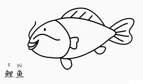 開心的小魚<a href=http://www.inspiredelm.com/ertonghua/ target=_blank class=infotextkey>兒童畫</a>圖片_開心的小魚兒童繪畫圖集