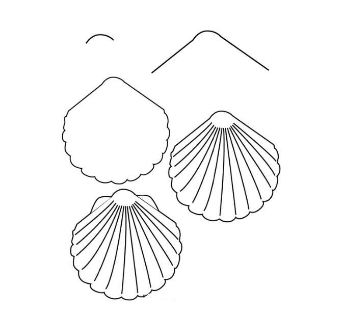 漂亮的貝殼<a href=http://www.inspiredelm.com/jianbihua/ target=_blank class=infotextkey>簡筆畫</a>怎么畫_一步一步教你畫貝殼