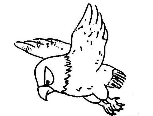 老鷹飛翔兒童<a href=http://www.inspiredelm.com/jianbihua/ target=_blank class=infotextkey>簡筆畫</a>圖片_老鷹兒童繪畫作品圖集