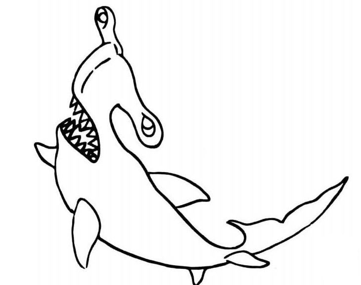 錘頭鯊魚兒童<a href=http://www.inspiredelm.com/jianbihua/ target=_blank class=infotextkey>簡筆畫</a>圖片_鯊魚兒童繪畫作品圖集