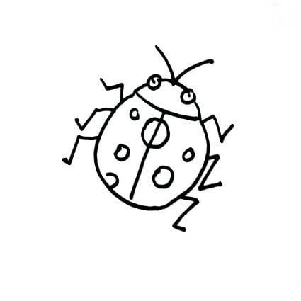 七星瓢蟲和花朵<a href=http://www.inspiredelm.com/jianbihua/ target=_blank class=infotextkey>簡筆畫</a>圖片_七星瓢蟲和花朵兒童繪畫圖集