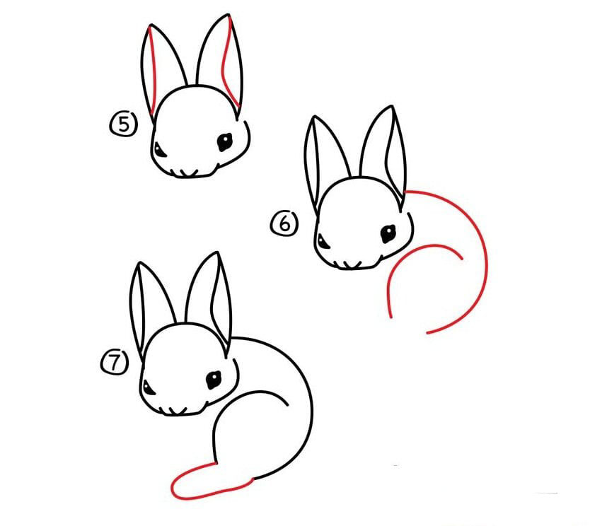 小白兔<a href=http://www.inspiredelm.com/jianbihua/ target=_blank class=infotextkey>簡筆畫</a>圖片_小白兔兒童繪畫圖集