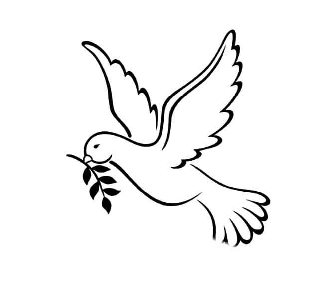 飛行鴿子兒童<a href=http://www.inspiredelm.com/jianbihua/ target=_blank class=infotextkey>簡筆畫</a>圖片_鴿子兒童繪畫作品圖集