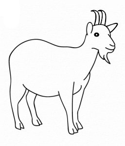 可愛(ài)的山羊<a href=http://www.inspiredelm.com/ertonghua/ target=_blank class=infotextkey>兒童畫(huà)</a>圖片_可愛(ài)的山羊兒童繪畫(huà)圖集