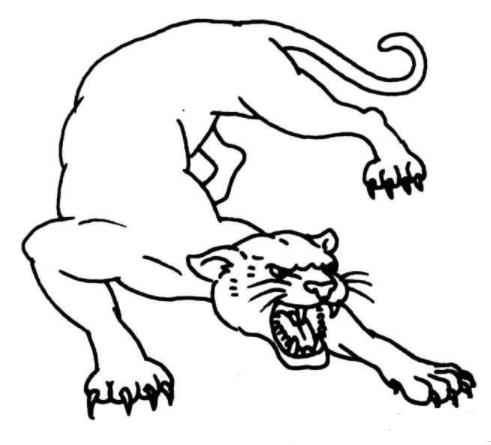 可愛(ài)動(dòng)物怎么畫_-兇猛的豹子的兒童畫作品