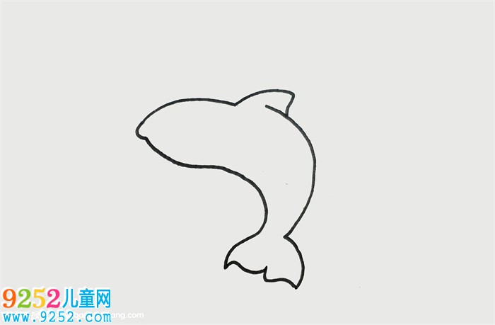 巨齒鯊的畫法