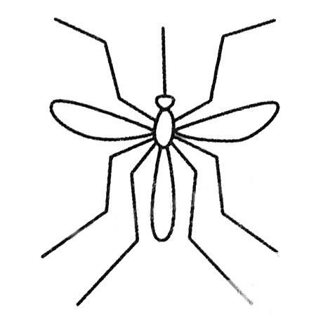 飛行的蚊子兒童<a href=http://www.inspiredelm.com/jianbihua/ target=_blank class=infotextkey>簡筆畫</a>圖片_蚊子兒童繪畫作品圖集
