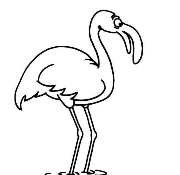 火烈鳥<a href=http://www.inspiredelm.com/ertonghua/ target=_blank class=infotextkey>兒童畫</a>圖片_火烈鳥兒童繪畫圖集