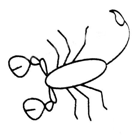 卡通蝎子兒童<a href=http://www.inspiredelm.com/jianbihua/ target=_blank class=infotextkey>簡(jiǎn)筆畫</a>圖片_蝎子兒童繪畫作品圖集