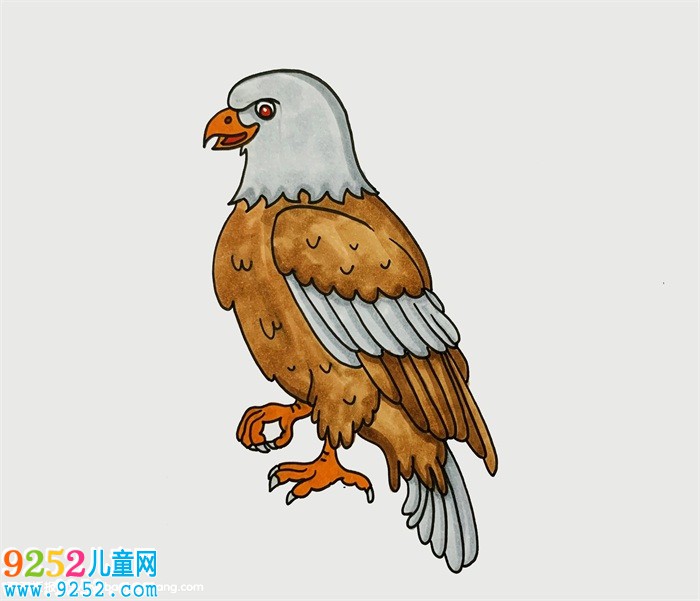 老鷹的畫法