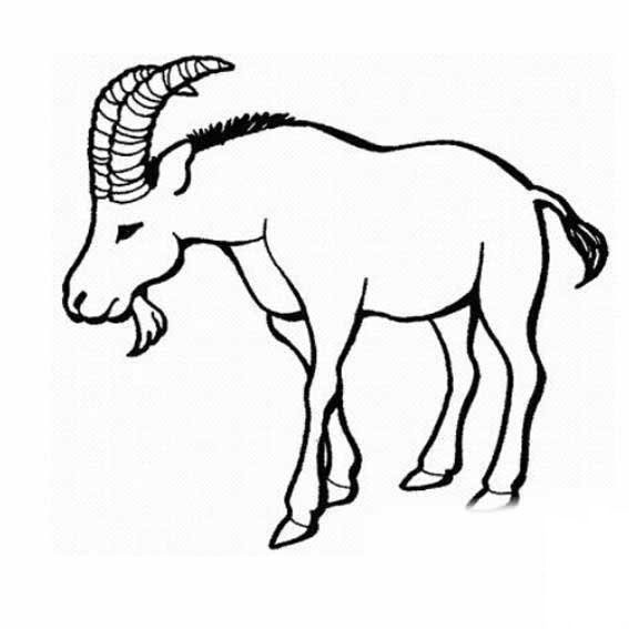 可愛(ài)的山羊<a href=http://www.inspiredelm.com/ertonghua/ target=_blank class=infotextkey>兒童畫(huà)</a>圖片_可愛(ài)的山羊兒童繪畫(huà)圖集