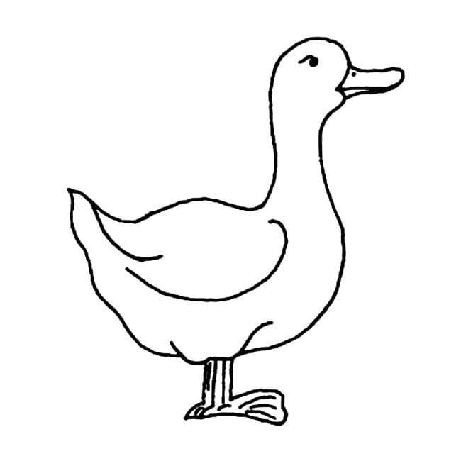 尋找食物的鴨子<a href=http://www.inspiredelm.com/ertonghua/ target=_blank class=infotextkey>兒童畫</a>圖片_尋找食物的鴨子兒童繪畫圖集