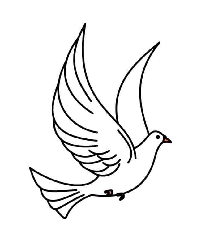飛翔的和平鴿兒童<a href=http://www.inspiredelm.com/jianbihua/ target=_blank class=infotextkey>簡(jiǎn)筆畫</a>圖片_和平鴿兒童繪畫作品圖集