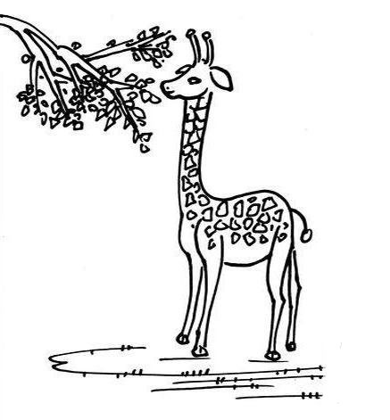 長頸鹿吃樹葉<a href=http://www.inspiredelm.com/jianbihua/ target=_blank class=infotextkey>簡筆畫</a>圖片_長頸鹿吃樹葉兒童繪畫圖集