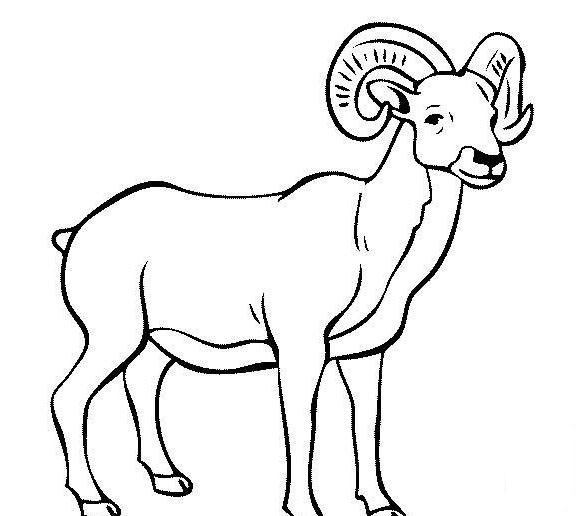 山羊<a href=http://www.inspiredelm.com/jianbihua/ target=_blank class=infotextkey>簡筆畫</a>圖片_山羊兒童繪畫圖集