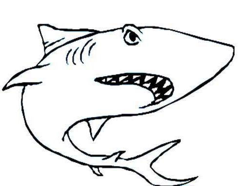 錘頭鯊魚兒童<a href=http://www.inspiredelm.com/jianbihua/ target=_blank class=infotextkey>簡筆畫</a>圖片_鯊魚兒童繪畫作品圖集