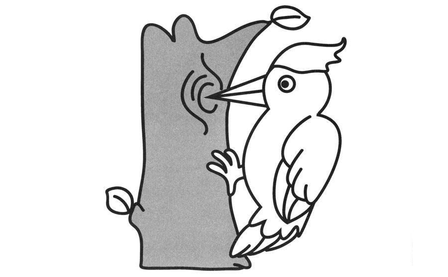 樹上的啄木鳥兒童<a href=http://www.inspiredelm.com/jianbihua/ target=_blank class=infotextkey>簡筆畫</a>圖片_啄木鳥兒童繪畫作品圖集