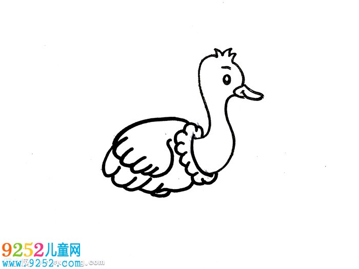 鴕鳥怎么畫簡單又好看