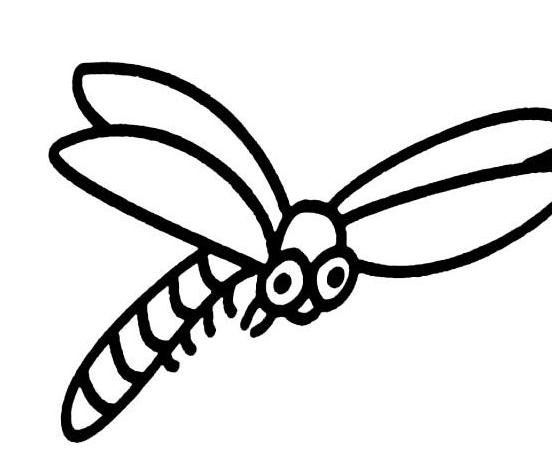 飛行的小蜻蜓<a href=http://www.inspiredelm.com/ertonghua/ target=_blank class=infotextkey>兒童畫</a>圖片_飛行的小蜻蜓兒童繪畫圖集