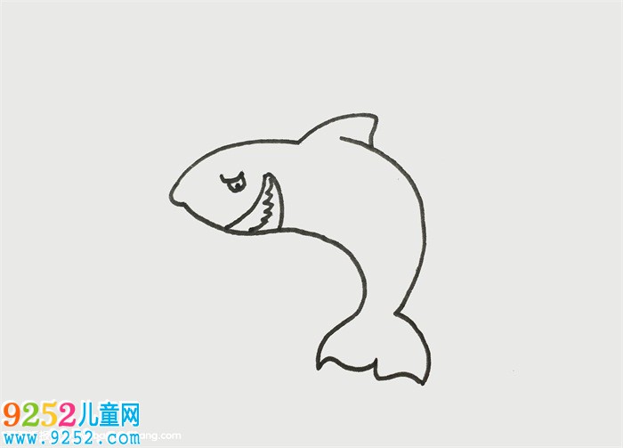 巨齒鯊的畫法