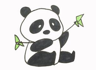 熊貓和竹子的畫