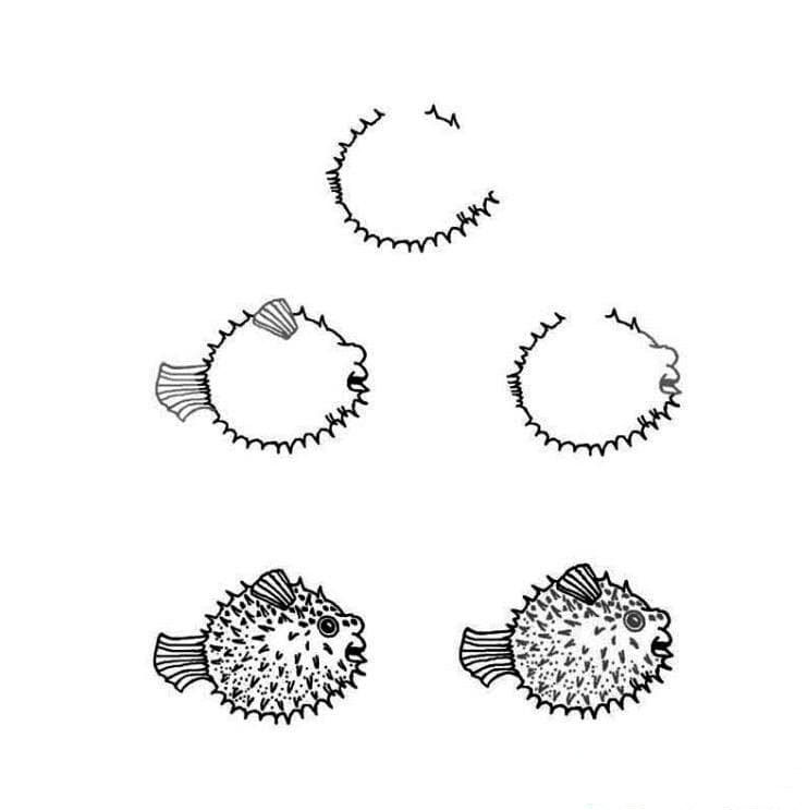 河豚魚(yú)怎么畫(huà)_河豚魚(yú)的<a href=http://www.inspiredelm.com/ertonghua/ target=_blank class=infotextkey>兒童畫(huà)</a>作品