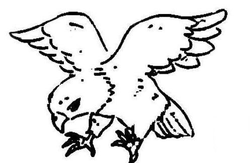老鷹飛翔兒童<a href=http://www.inspiredelm.com/jianbihua/ target=_blank class=infotextkey>簡筆畫</a>圖片_老鷹兒童繪畫作品圖集