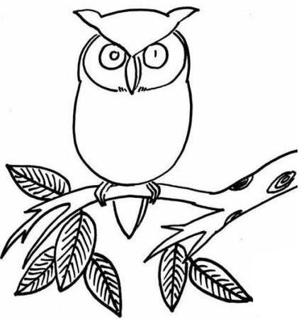 樹上的貓頭鷹兒童<a href=http://www.inspiredelm.com/jianbihua/ target=_blank class=infotextkey>簡筆畫</a>圖片_貓頭鷹兒童繪畫作品圖集