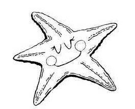漂亮的海星兒童<a href=http://www.inspiredelm.com/jianbihua/ target=_blank class=infotextkey>簡(jiǎn)筆畫(huà)</a>圖片_海星兒童繪畫(huà)作品圖集