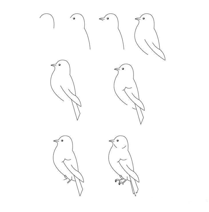 小鳥<a href=http://www.inspiredelm.com/ertonghua/ target=_blank class=infotextkey>兒童畫</a>圖片_超可愛的小鳥兒童繪畫圖集