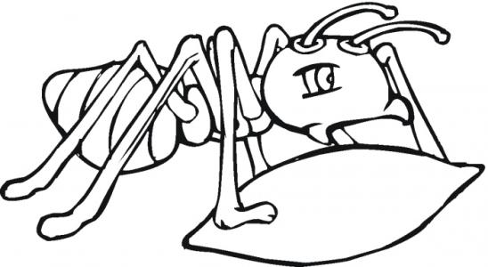 螞蟻搬家<a href=http://www.inspiredelm.com/ertonghua/ target=_blank class=infotextkey>兒童畫</a>圖片_螞蟻搬家兒童繪畫圖集