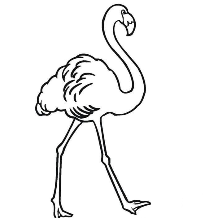 火烈鳥<a href=http://www.inspiredelm.com/ertonghua/ target=_blank class=infotextkey>兒童畫</a>圖片_火烈鳥兒童繪畫圖集