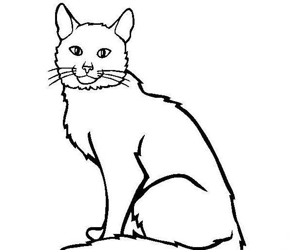 奔跑的小貓<a href=http://www.inspiredelm.com/ertonghua/ target=_blank class=infotextkey>兒童畫</a>圖片_奔跑的小貓兒童繪畫圖集