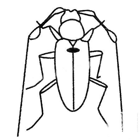 卡通的天牛兒童<a href=http://www.inspiredelm.com/jianbihua/ target=_blank class=infotextkey>簡筆畫</a>圖片_兒童繪畫作品圖集