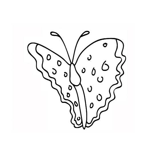 最美的蝴蝶<a href=http://www.inspiredelm.com/jianbihua/ target=_blank class=infotextkey>簡筆畫</a>圖片_最美的蝴蝶兒童繪畫圖集