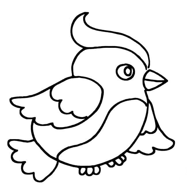 漂亮的小鳥兒童<a href=http://www.inspiredelm.com/jianbihua/ target=_blank class=infotextkey>簡筆畫</a>圖片_小鳥兒童繪畫作品圖集